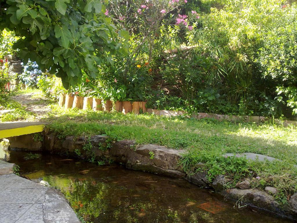 La Casa Del Telar Lejlighed Valverde del Fresno Værelse billede